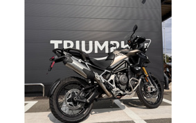 TRIUMPH TIGER 1200 RALLY PRO 2026 TAP20V
