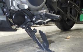 HARLEY RH975 2022