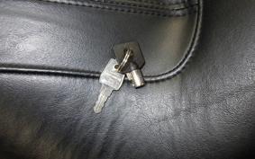 HARLEY FLSTC 1690 2017