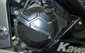 KAWASAKI NINJA 250 EX250L