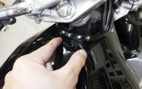 SUZUKI GSX250FX 2010 ZR250C