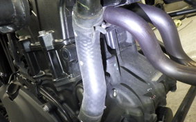 KAWASAKI ELIMINATOR400-3SE 2024 EL400A