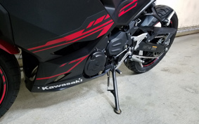 KAWASAKI Ninja 250 ABS EX250P