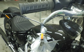 HARLEY FXBB1920 2025