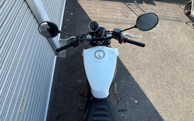 HARLEY HARLEY X350 2025 W3C