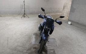 YAMAHA FZS25 RG69