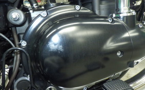 KAWASAKI W800 CAFE 2020 EJ800B