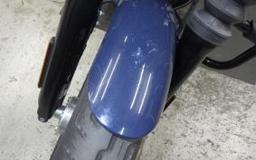 HARLEY FXBB1750 2019