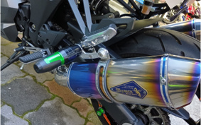KAWASAKI NINJA 1000 2020 ZXT00W