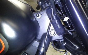 HARLEY FXDRS1870 2020