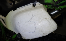 KAWASAKI KLX250 LX250E