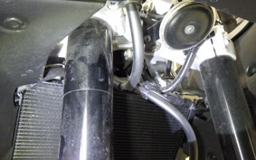 YAMAHA XSR900 GP 2024 RN96J