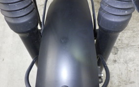 OTHER +UNREGISTERED MODEL by BDS250