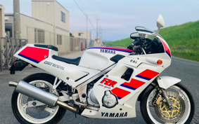YAMAHA FZR250 2KR