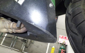 KAWASAKI NINJA 250 ABS EX250L