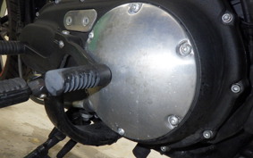 HARLEY XL883N 2017