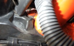 KTM 390 DUKE 2021
