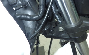 OTHER +UNREGISTERED MODEL by BDS150