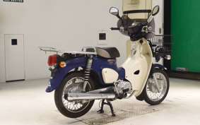HONDA C110 SUPER CUB 2019 JA42