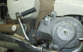 HONDA C100 SUPER CUB 2024 C100