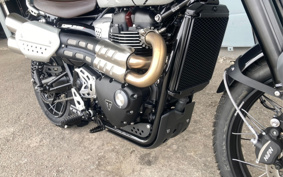 TRIUMPH  TRIUMPH  SCRAMBLER 1200X 2025 DADR0H