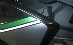 KAWASAKI Z250 A 2021 ER250C