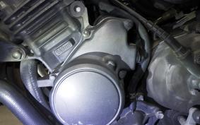 HONDA HORNET 250 1999 MC31