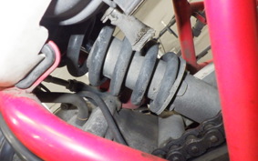HONDA APE 50 2021 AC16