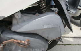 YAMAHA AKUSHI STREET SE53J