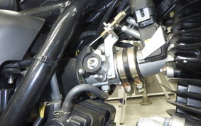 OTHER +UNREGISTERED MODEL by BDS250