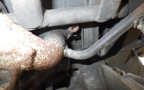 SUZUKI ADDRESS V100 CE11A