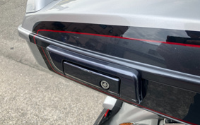 HARLEY FLTRXSE1800CVO 2019 TCL
