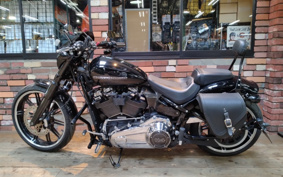 HARLEY FXBRS 2021 YHK