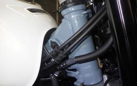 HONDA MONKEY 125 2020 JB05