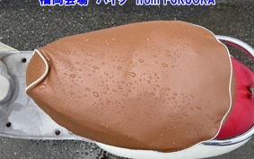 HONDA CREA SCOOPY
