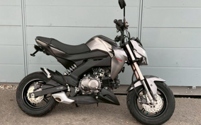 KAWASAKI Z125 PRO BR125H