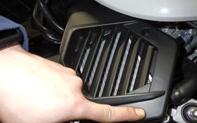 HONDA GIORNO 3 2014 AF77