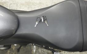 TRIUMPH TRIDENT 660 2024