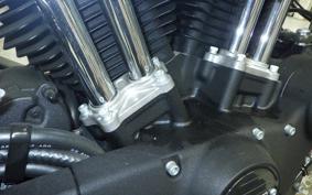 HARLEY XL1200NS 2019