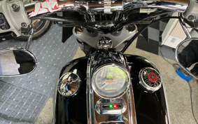 HARLEY  HARLEY FXCW 2009 JJ5