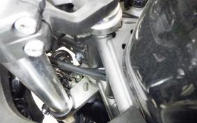 KAWASAKI NINJA 250 2019