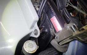 SUZUKI BIRDIE 50 BA42A