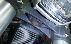 DUCATI MONSTER 696 + 2010