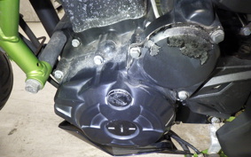 KAWASAKI Z250 SL BR250E