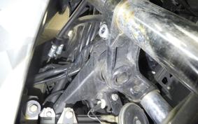 KAWASAKI VERSYS X250Aﾂｱﾗｰ 2022 LE250D