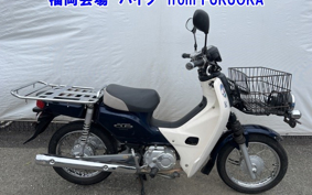 OTHER C110PU LOW 2