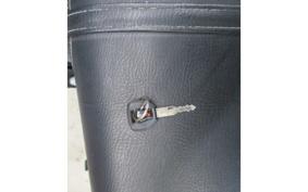 OTHER LEGEND 150FI YCC02