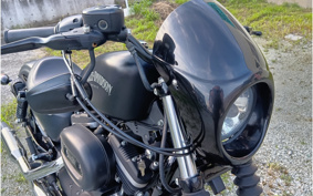 HARLEY XL883N 2015 LE2