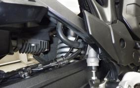 HONDA NT1100 2024 SC84