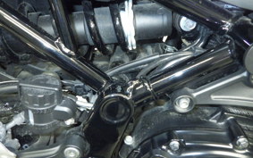 KAWASAKI Z900RS 2022 ZR900C